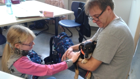 Hunde im Klassenzimmer